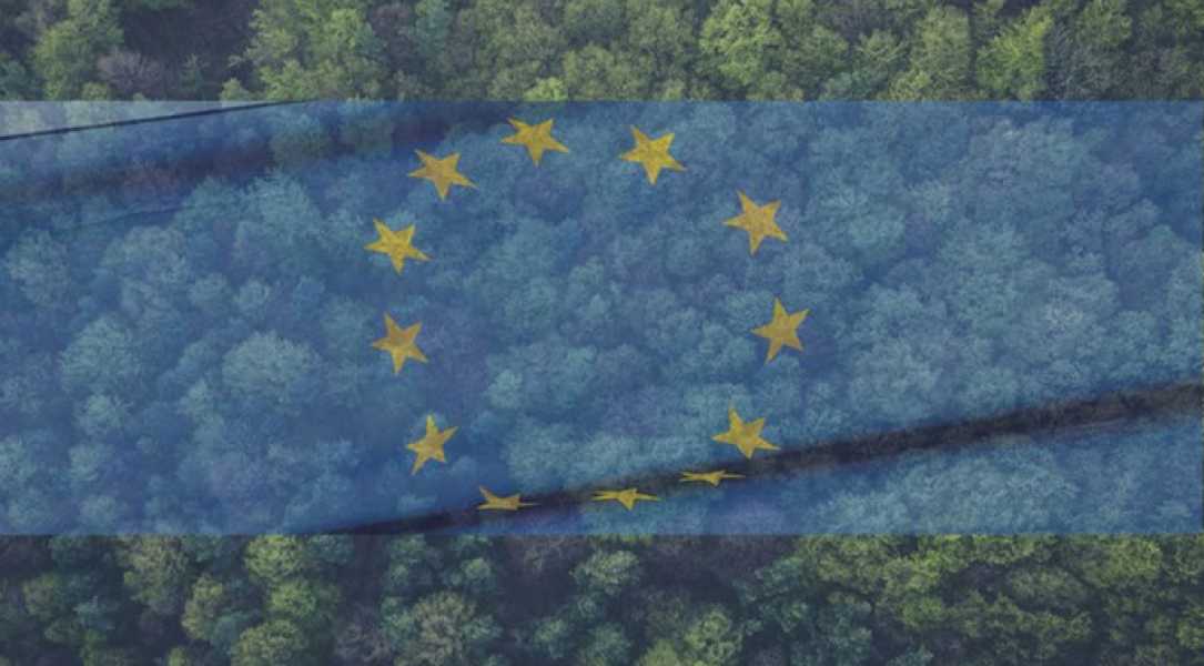 Невиконання EUDR загрожує штрафами та втратою ринку ЄС. - INFBusiness