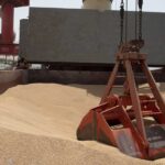 Фрахтувальникам суден іноді вдається перевершити ціни на перевезення зерна - INFBusiness