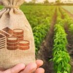 Майбутнє українського агробізнесу гарне, тому люди інвестують в Україну - INFBusiness