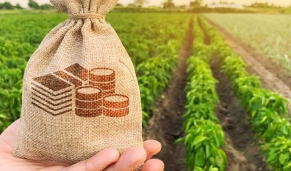 Майбутнє українського агробізнесу гарне, тому люди інвестують в Україну - INFBusiness