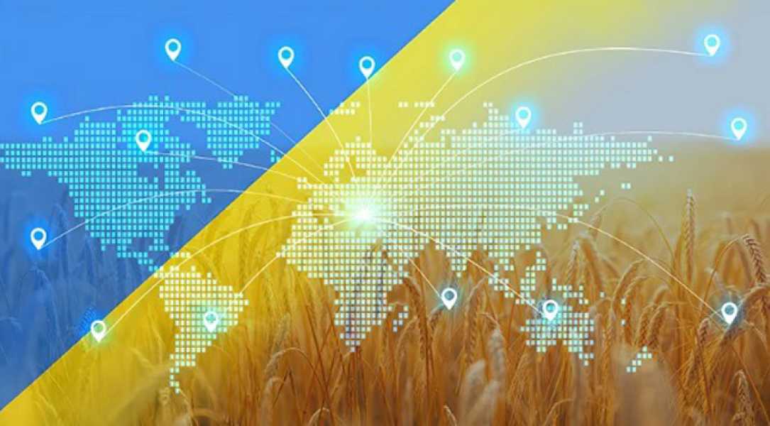 З введенням квот до ЄС Україна експортуватиме зерно на інші ринки - INFBusiness