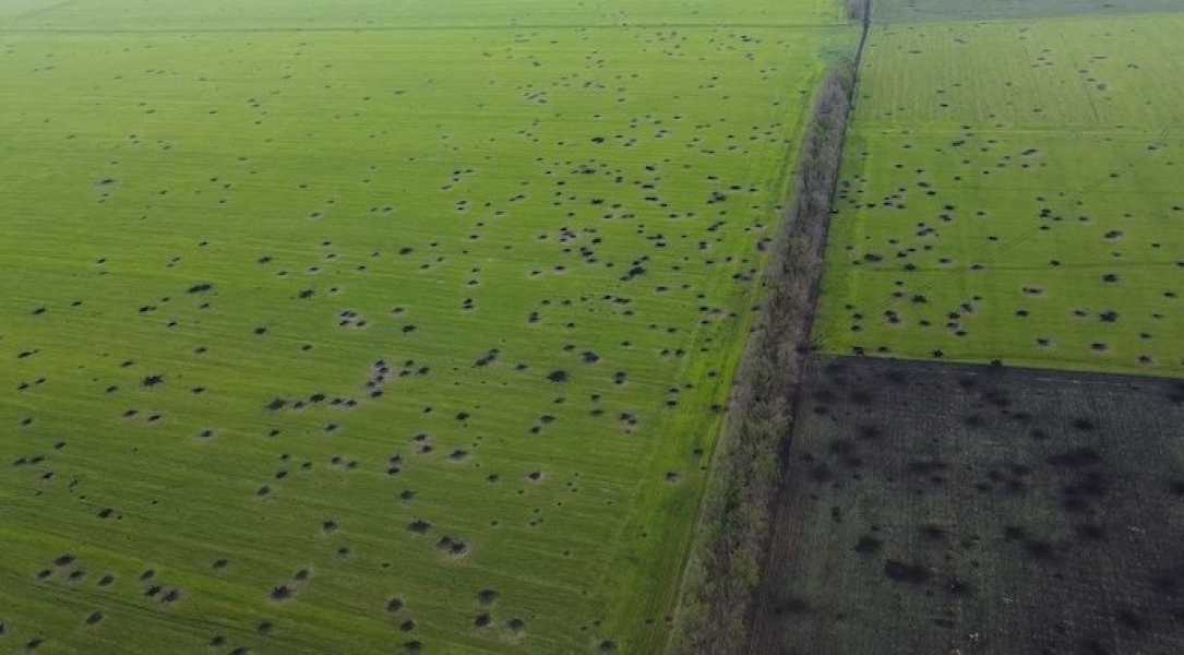 Україні потрібно буде визначити придатність забруднених війною територій для фермерів - INFBusiness