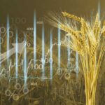 Мінімальні експортні ціни на українську сільськогосподарську продукцію встановлені на червень - INFBusiness