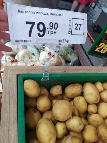 Хліб і м'ясо подорожчають, овочі – навпаки: прогноз цін на продукти харчування до середини літа - INFBusiness