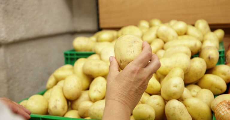 Молода картопля в Україні здорожчала - скільки коштує картопля - ціни на продукти харчування в Україні - INFBusiness