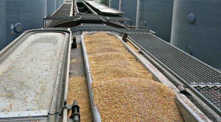 Експорт зерна залізницею скоротився на 30% - INFBusiness