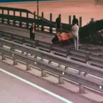 СБУ заявила, що втретє обстріляла Кримський міст і що там оголошено надзвичайний стан. - INFBusiness