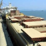 Фрахтові тарифи Panamax відновилися - INFBusiness