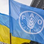 ФАО закликає партнерів посилити підтримку українських фермерських сімей - INFBusiness