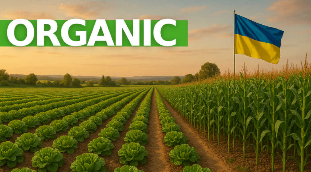 Рада підтримала оновлення органічного законодавства відповідно до стандартів ЄС - INFBusiness