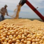 Переробники готові інвестувати в українських фермерів - INFBusiness