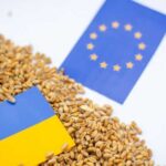 Які обсяги продукції може постачати Україна до ЄС? - INFBusiness