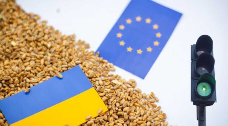 Які обсяги продукції може постачати Україна до ЄС? - INFBusiness