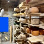 Переробники просять 30% кешбеку на український сир - INFBusiness