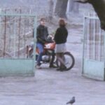 Спеціальний показ фільму «Дике кохання» відбудеться у Києві - INFBusiness