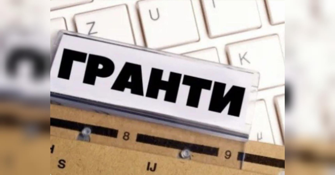Правоохоронцям потрібно перевірити мільйонні доходи грантових активістів, — Олег Постернак - INFBusiness