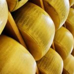 Імпортні сири займають 45% полиць українських торгових мереж - INFBusiness