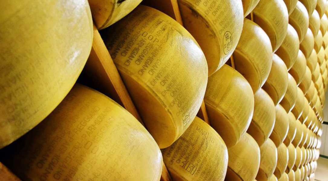 Імпортні сири займають 45% полиць українських торгових мереж - INFBusiness