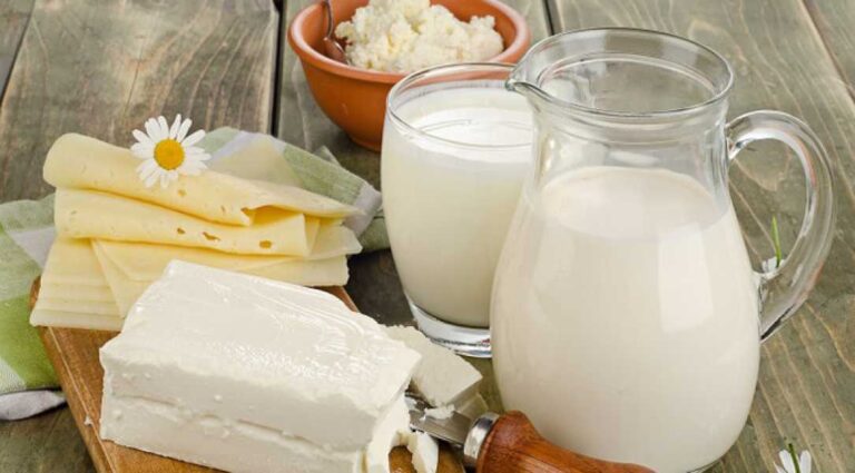 Експортери шукають нові ринки збуту молочної продукції - INFBusiness