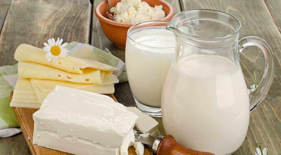 Експортери шукають нові ринки збуту молочної продукції - INFBusiness