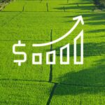 Середня вартість суборенди державної землі зросла до 21,5 тис. грн/га - INFBusiness