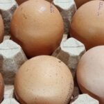 Як використовувати яєчну шкаралупу без шкоди для рослин: чому великі шматки – це небезпечно - INFBusiness