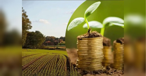 Земля є одним з визначальних скарбів нашої держави, отже, законодавством визначено, що землевласники зобов'язані вносити плату за неї. У 2025 році сплата земельного податку залишається обов'язковою для власників наділів, паїв та постійних користувачів земельних ресурсів. Звільнення від податку на землю для деяких українців: кому не потрібно буде сплачувати - INFBusiness