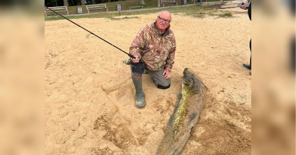 ```html Велетенський сом: на Вінниччині рибалка-ветеран зловив майже двометрового сома вагою більше 40 кг. - INFBusiness