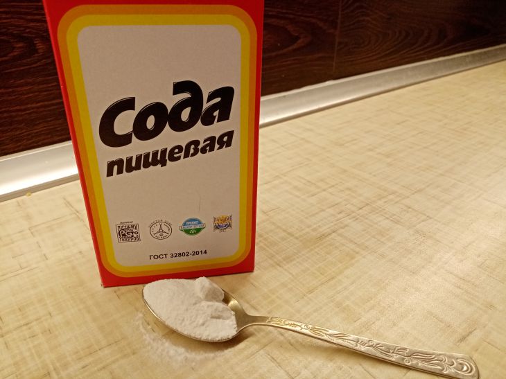 Як звичайна харчова сода зводить борошнисту росу: на замітку городникам - INFBusiness