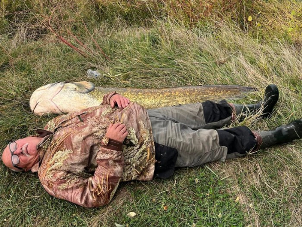 Щоб продемонструвати неймовірний розмір трофея, щасливий рибалка Іван Шевчук навіть ліг поряд із рибиною Велетенський сом: на Вінниччині рибалка-ветеран зловив майже двометрового сома вагою більше 40 кг. - INFBusiness