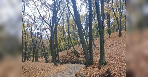 Незважаючи на передбачення народного метеоролога Володимира Деркача про «бабине літо» наприкінці жовтня-на початку листопада, спеціалісти Українського гідрометцентру констатують, що традиційне «бабине літо» поки що в Україну так і не завітало. Снігопади чи відлига: метеорологи вразили осіннім передбаченням - INFBusiness