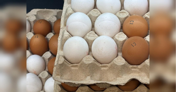 Яйця курячі продовжують бути одним з продуктів, вартість яких у 2025 році відчутно збільшилася. І, виходячи з передбачень відповідних експертів, сподіватися на зменшення вартості цього продукту українцям не слід, чому "сприяє" активний збут за кордон. Яйця з України: експортні наслідки для споживачів - INFBusiness