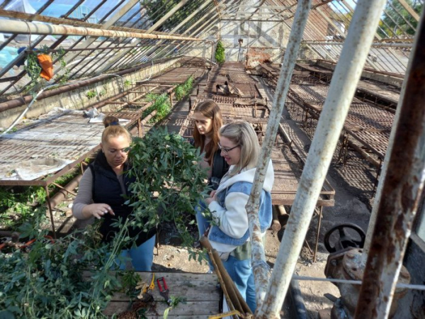 Оксана Микуленко радить покупцям, як врятувати понівечений плющ, який віддають безплатно Скалічені сукуленти потребують бійця: полтавці скуповують рослини з розтрощених теплиць після удару по місту - INFBusiness