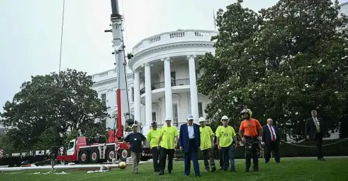 Фото: Кевін Дітч/Getty Images Білий дім змінюється: Трампу замало місця для танцювальних рухів. - INFBusiness