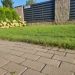 Як за допомогою окропу позбутися бур'янів на доріжках на весь сезон: екологічний спосіб, який працює краще за гербіциди - INFBusiness