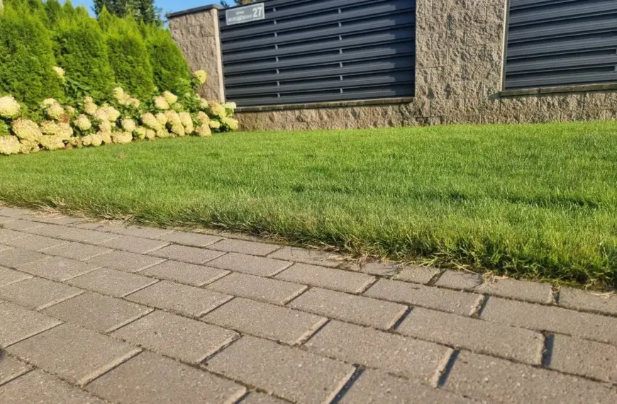 Як за допомогою окропу позбутися бур'янів на доріжках на весь сезон: екологічний спосіб, який працює краще за гербіциди