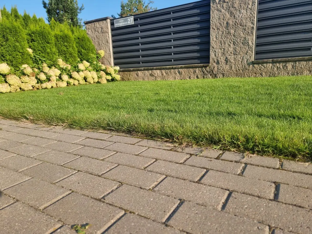 Як за допомогою окропу позбутися бур'янів на доріжках на весь сезон: екологічний спосіб, який працює краще за гербіциди тротуар