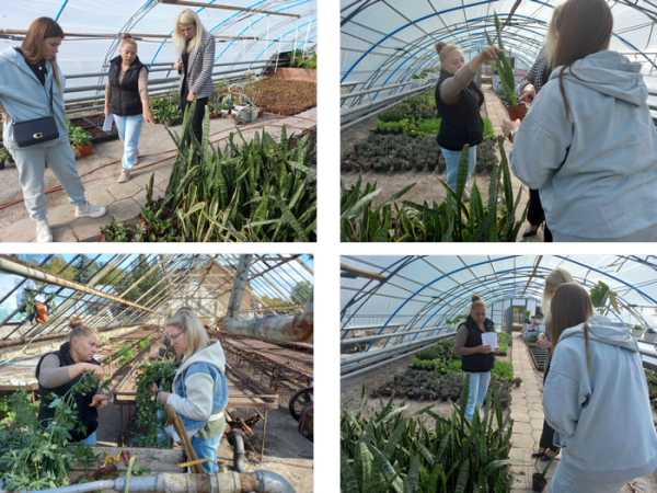 Люди приходять без конкретної мети, уже на місці орієнтуються, що купувати Скалічені сукуленти потребують бійця: полтавці скуповують рослини з розтрощених теплиць після удару по місту - INFBusiness