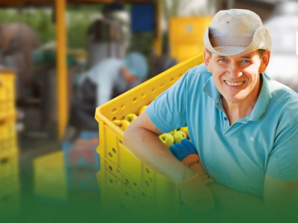 Каштанове мило, теренові та бузинові соки: бізнес на диких рослинах від полтавського підприємця. - INFBusiness