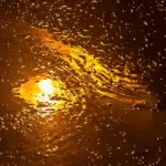 Як Марк Твен передбачив свою власну смерть: збіг, який досі лякає його біографів - INFBusiness