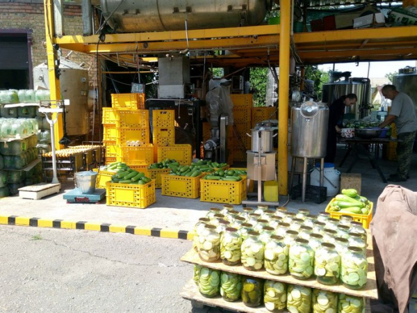 Каштанове мило, теренові та бузинові соки: бізнес на диких рослинах від полтавського підприємця. - INFBusiness