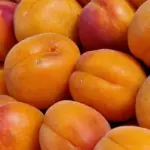 Чому абрикос цвіте, але не плодоносить: у який весняний день гине 90% урожаю через заморозки - INFBusiness