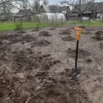 Як позбутися дротяника без перекопування: приманка, яка збере всіх личинок в одному місці - INFBusiness