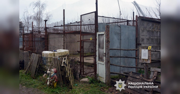 Зі звірами-хижаками, котрі знаходяться в звіринцях або експлуатуються в цирках, час від часу відбуваються неординарні інциденти. Наприклад, у Запорізькому краї ведмідь атакував дресирувальника прямо під час вистави, а в Хмельницькому районі нещодавно розшукували двох левиць, яких тримали в зоокуточку. У Хмельницькому глобально зловили левів-втікачів (відео, світлини) - INFBusiness