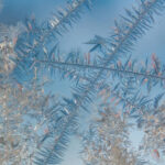 Насувається зима: 7 легких і дієвих методів зігріти оселю до морозів. - INFBusiness