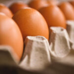 Ціни злетять: прогнозують різке здорожчання яєць через відключення світла. - INFBusiness