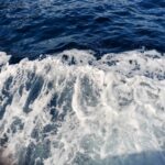 Який айсберг вважається найбільшим в історії: куди він пливе зараз і чого бояться вчені - INFBusiness