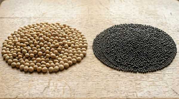 Продаж сої та ріпаку за кордон: контроль за продукцією буде&hellip;