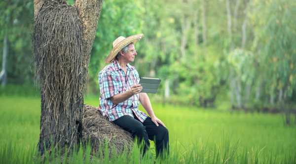 Створено національну платформу для аграрних знань та інновацій