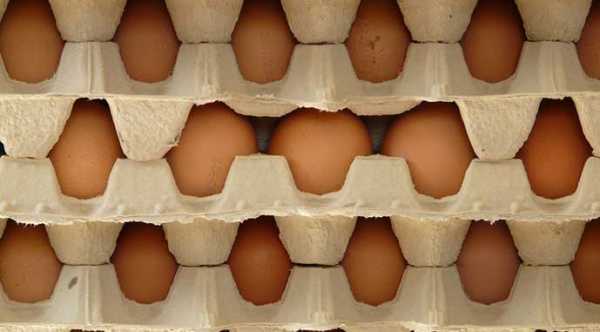 Український експорт яєць досяг п’ятирічного піку